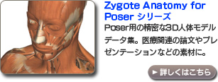 Zygote Anatomy for 
Poser $B%7%j!<%:(B